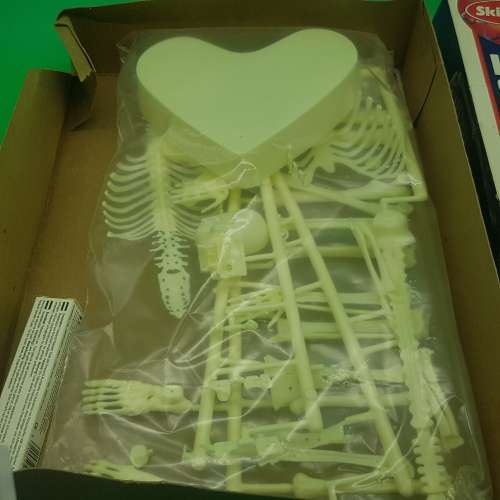 Original SKILCRAFT Human Skeleton Model - Complete With Stand!!!