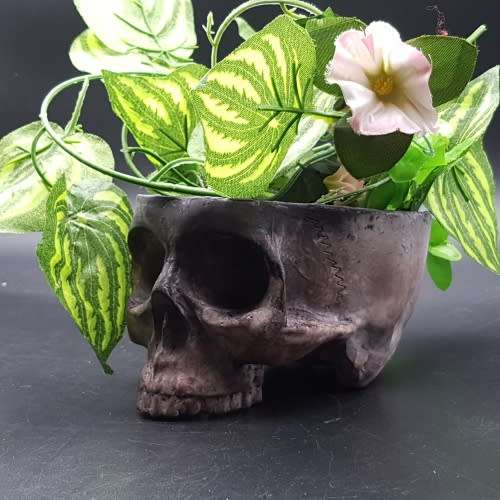 Original Ceramic Skull Planter!!!