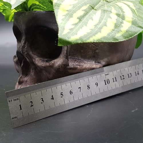 Original Ceramic Skull Planter!!!