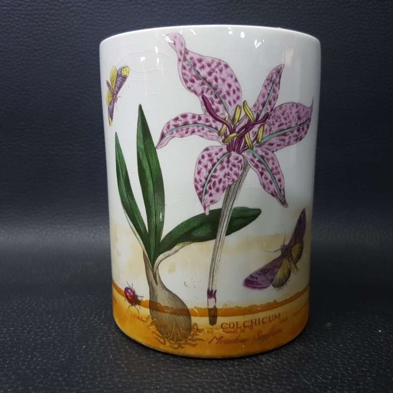 RARE!!! Original Portmeirion "The Botanic Garden, Circa 1818) Flower Vase!!!