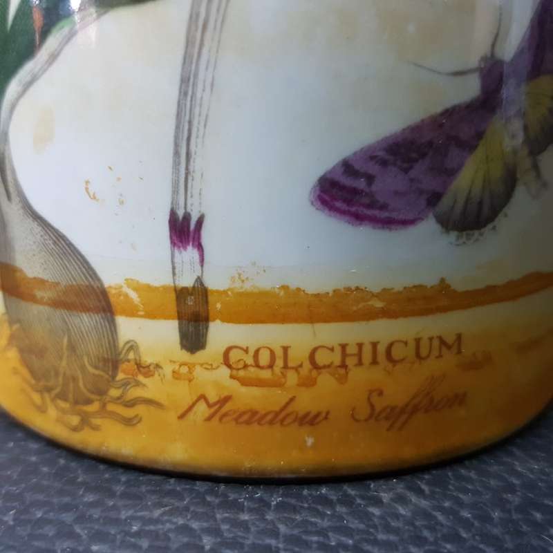 RARE!!! Original Portmeirion "The Botanic Garden, Circa 1818) Flower Vase!!!