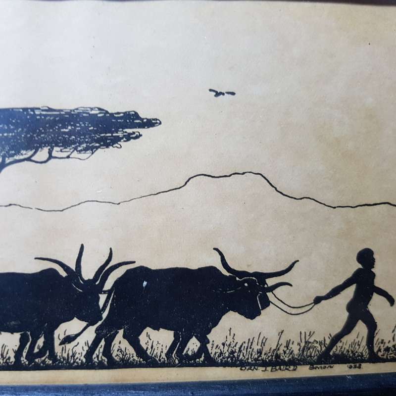1938 Original J Baird Benoni Ossewa Print!!!