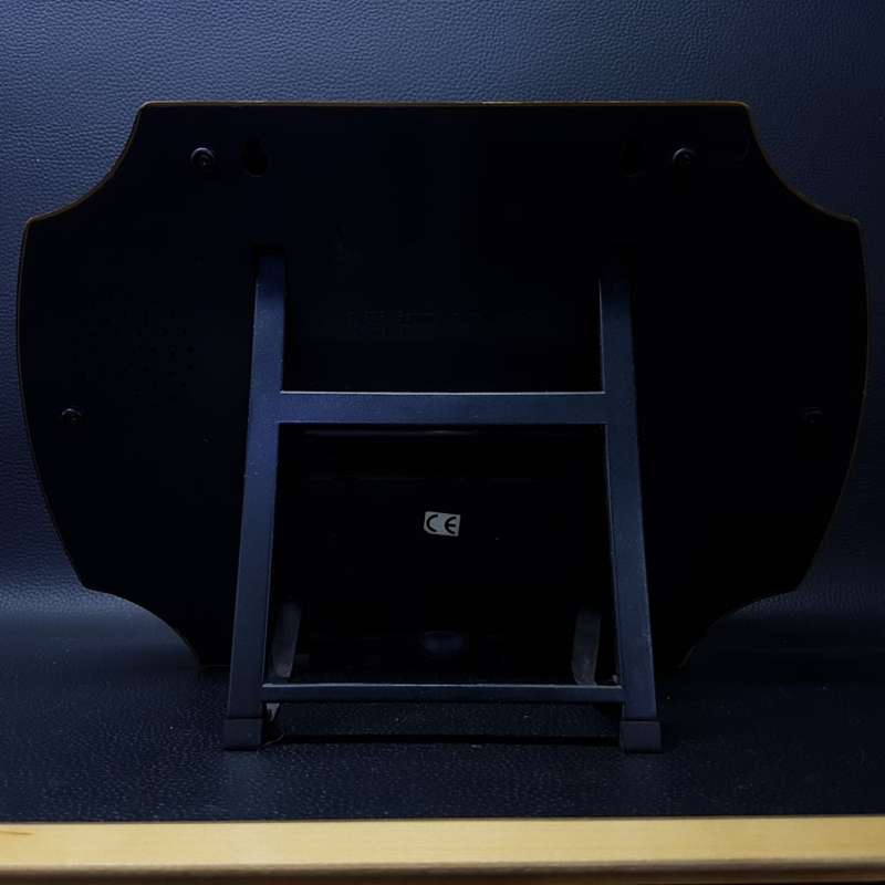 Original Vintage 1999 Singing Bass Wall Display!!!