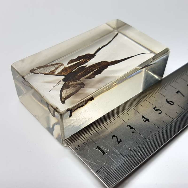 Original White Dragon Tail (Myanmar) In Lucite Paperweight!!!