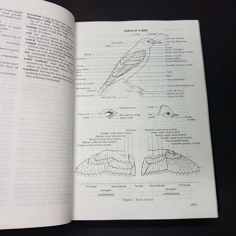 RARE!!! Signed and Numbered Leather Bound Roberts' Birds of South Africa (No.133)