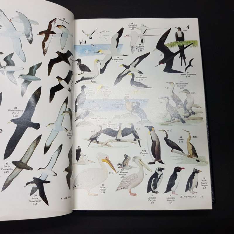 RARE!!! Signed and Numbered Leather Bound Roberts' Birds of South Africa (No.133)
