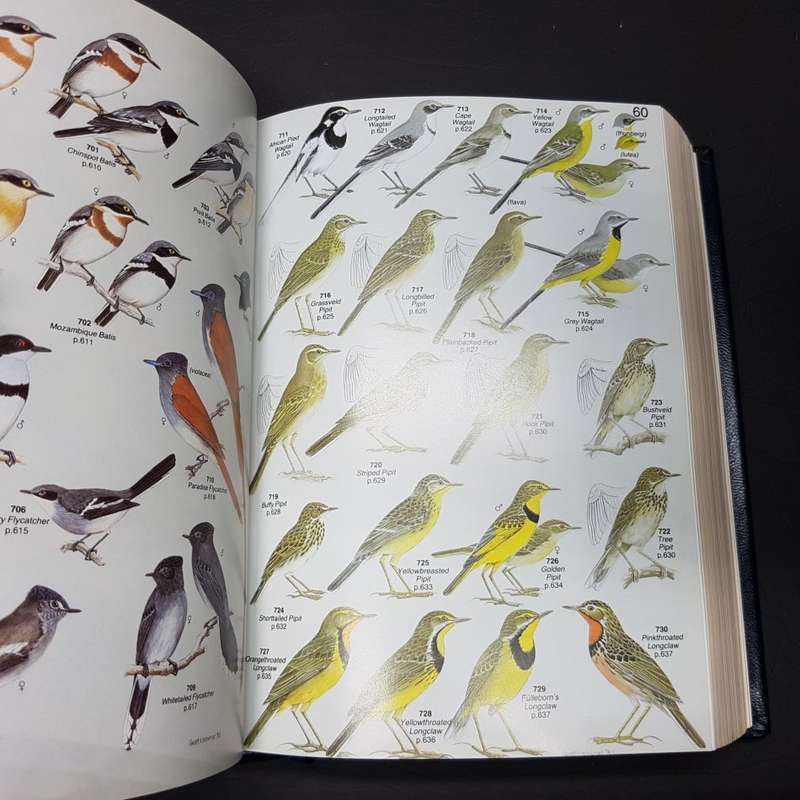 RARE!!! Signed and Numbered Leather Bound Roberts' Birds of South Africa (No.133)