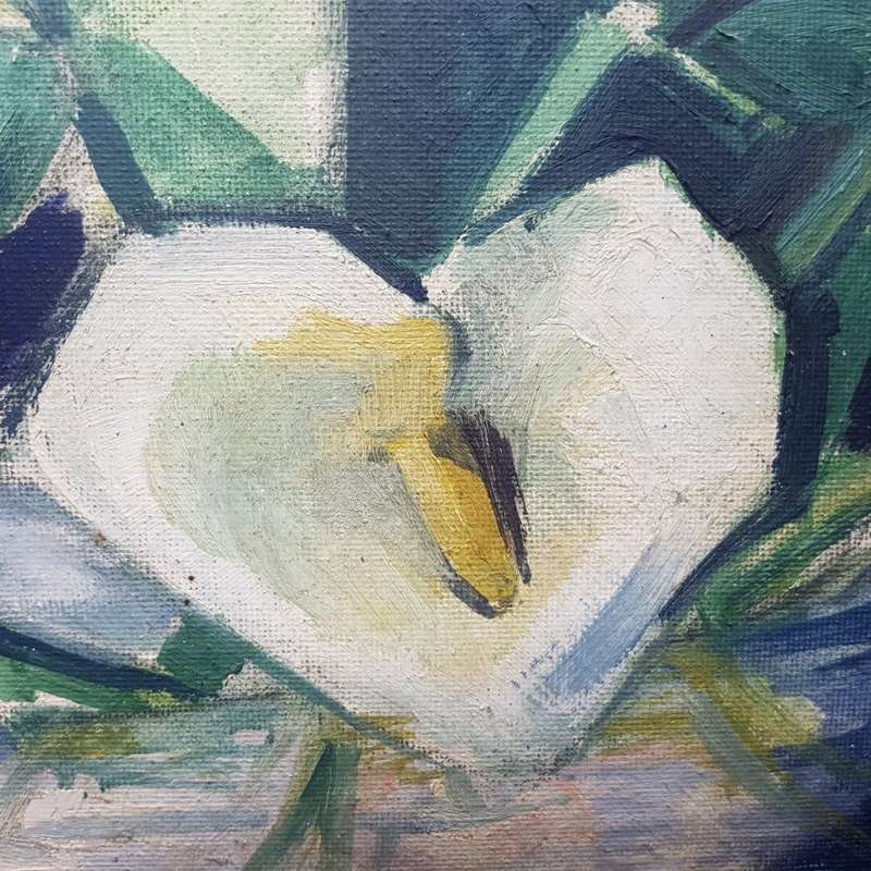 LARGE Vintage Framed Oil On Board Arum Lillie's  by Petro Nel (700mm x 650mm)