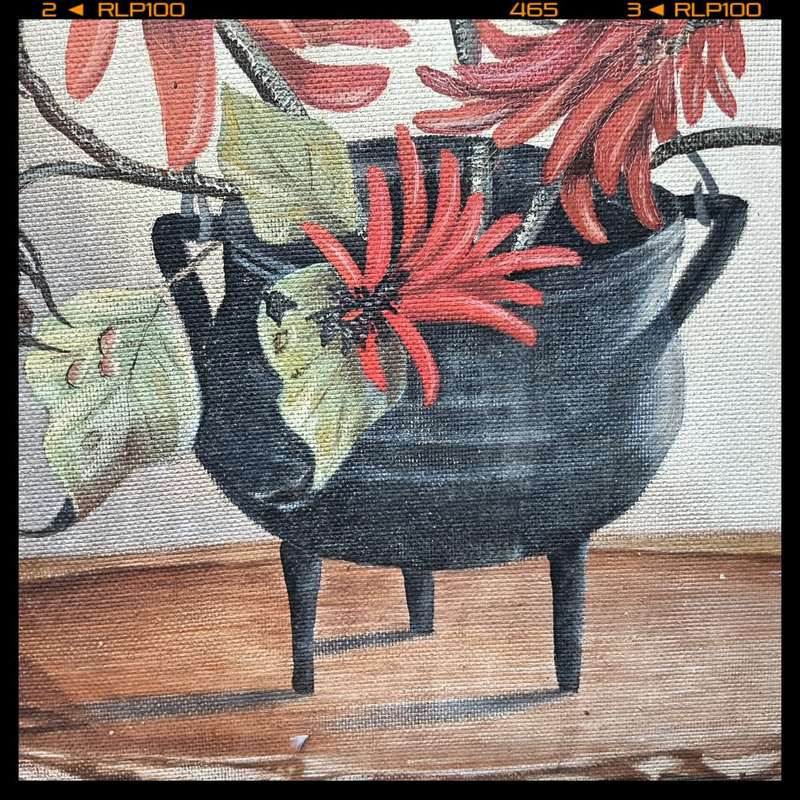 Large Original Botanical Still Life by E. Snyman (700mm x 600mm)