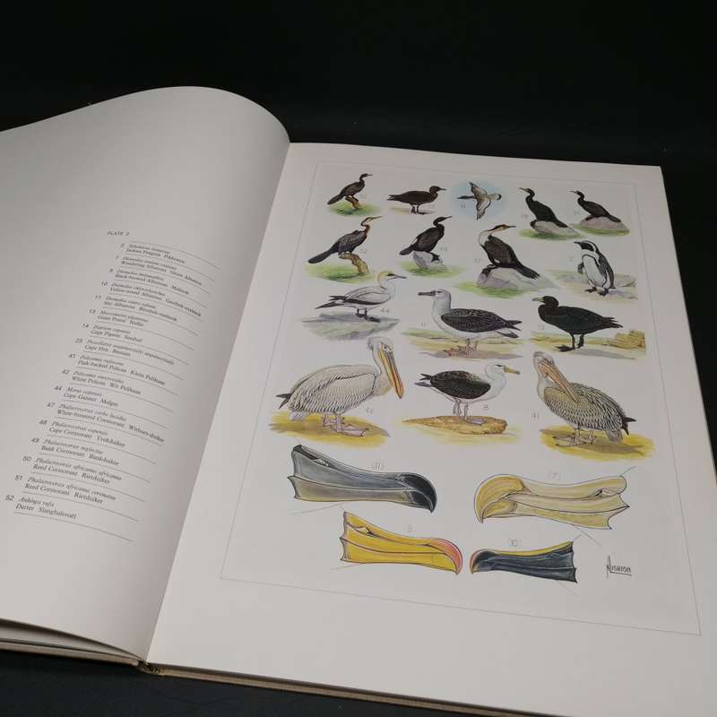 RARE!!! LARGE - The Paintings of Norman Lighton for Roberts Birds of Southern Africa!!!
