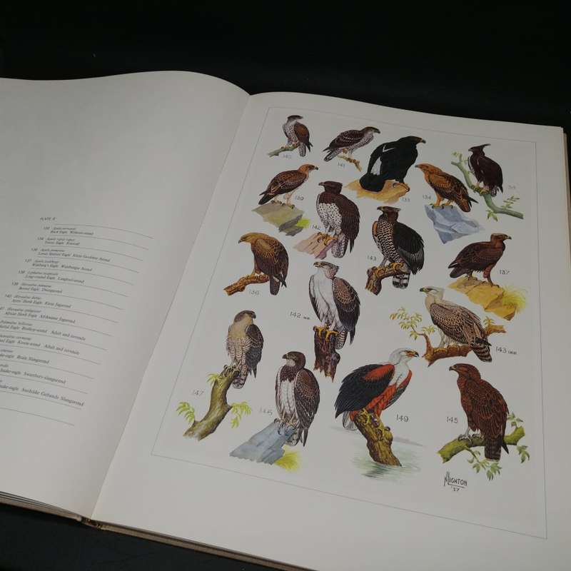 RARE!!! LARGE - The Paintings of Norman Lighton for Roberts Birds of Southern Africa!!!