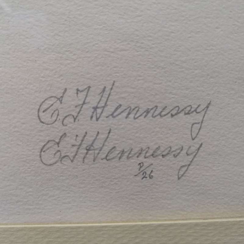 Original Signed E.J Hennessy Botanical Study - Syzygium cordatum (350mm x 470mm)