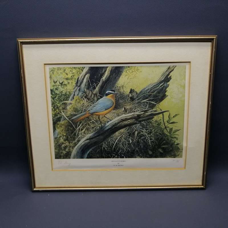 Original Signed DM Henry Bird Study - Heuglin's Robin (430mm x 370mm)