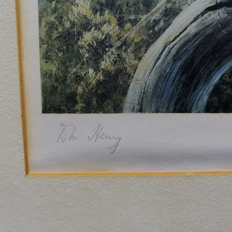 Original Signed DM Henry Bird Study - Heuglin's Robin (430mm x 370mm)