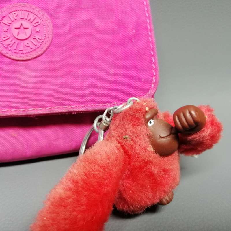 Original KIPLING Wallet and Key-ring!!!!!!