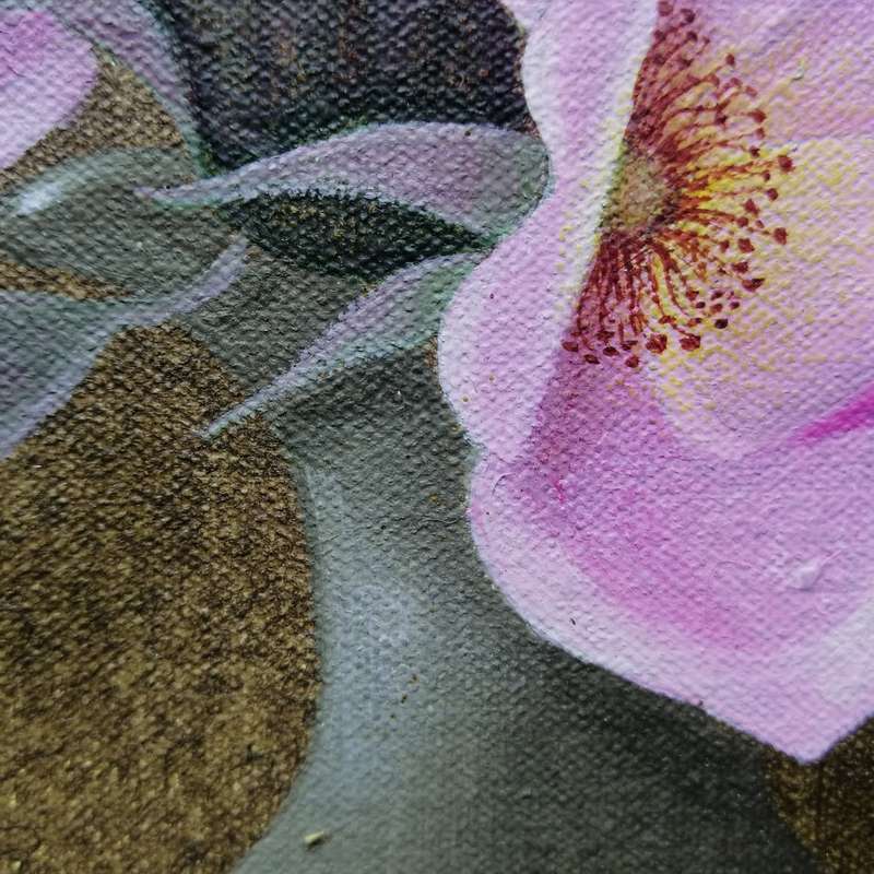 Fantastic!!!! Original Framed Oil on Canvas Still Life By Jan Sinclair!!! 350mm x 290mm