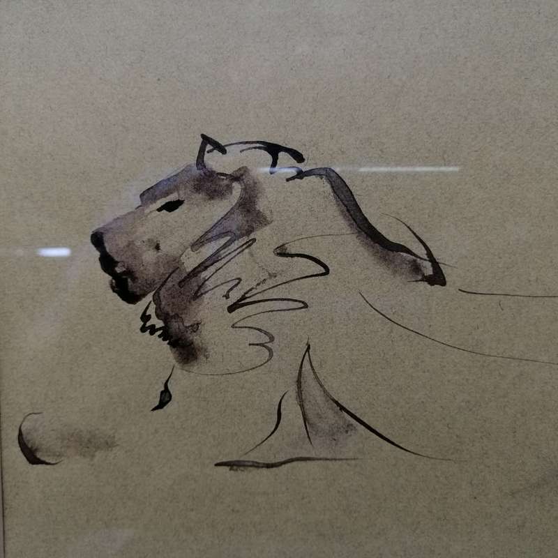 Fantastic!!! Framed Original Zakkie Eloff Pen and Ink Drawing On Paper - Lion