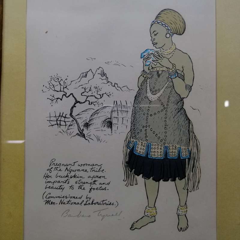 Fantastic!!! Signed Limited Edition Barbara Tyrrell The Ngwane Woman - 1972 (310mm x 230mm)