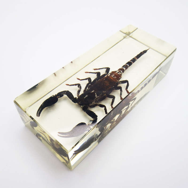 Original Giant Malaysian Scorpion In Lucite Paperweight!!!