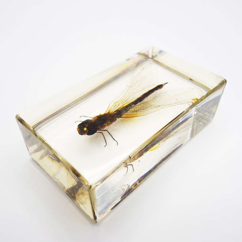 Original Worldwide Dragonfly In Lucite Paperweight!!!