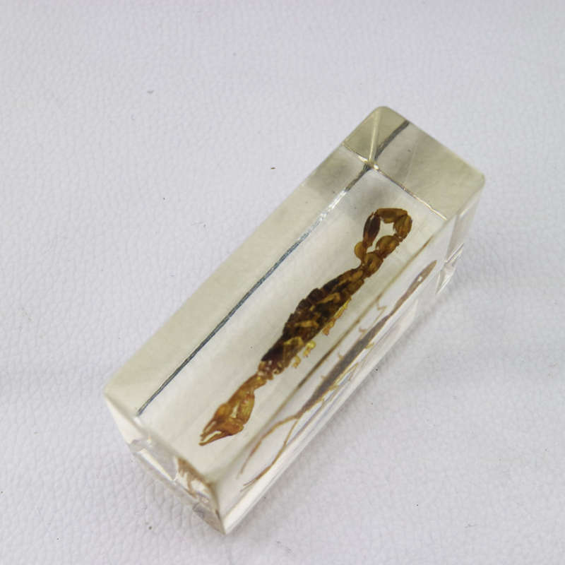 Chinese Manchurian Scorpion In Lucite Paperweight!!!