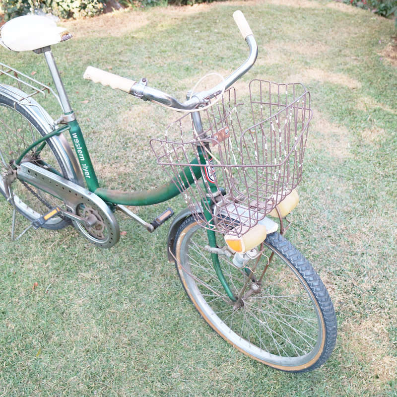 Super Rare!!! Vintage Original Western Flyer Girls Bicycle With All The Original Trim and Extra's