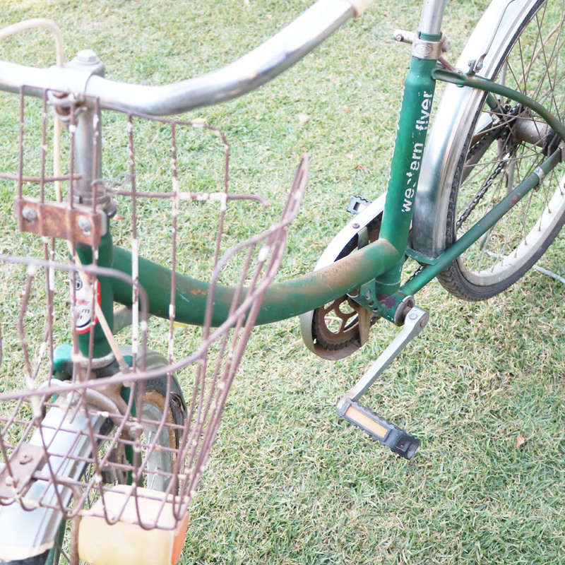 Super Rare!!! Vintage Original Western Flyer Girls Bicycle With All The Original Trim and Extra's