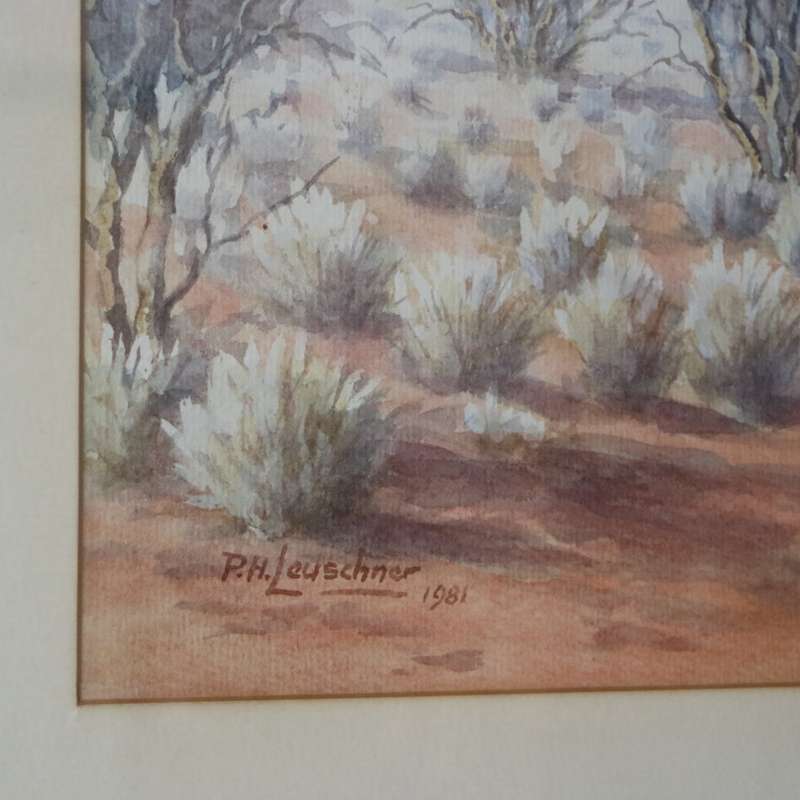Framed Original P.H Leuschner Landscape 1981!!! 600mm x 400mm
