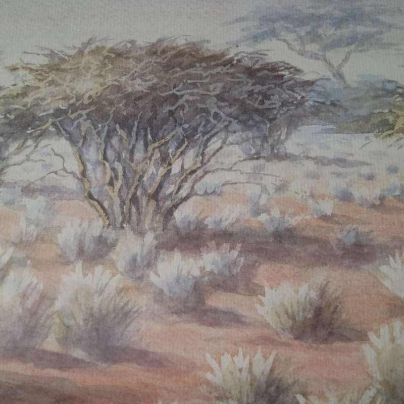Framed Original P.H Leuschner Landscape 1981!!! 600mm x 400mm