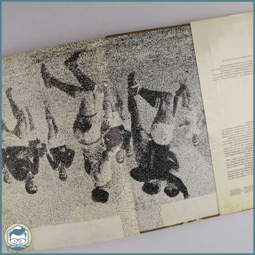 Springbok Sage Die verhaal van 1891 in Beeld