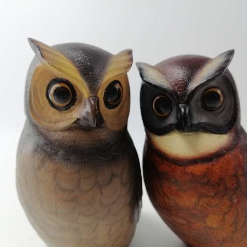 RARE!!! Numbered Feathers Of Knysna Cape Eagle Owl Male and Female!!! 1737/5000