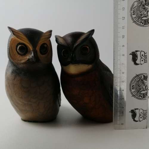 RARE!!! Numbered Feathers Of Knysna Cape Eagle Owl Male and Female!!! 1737/5000
