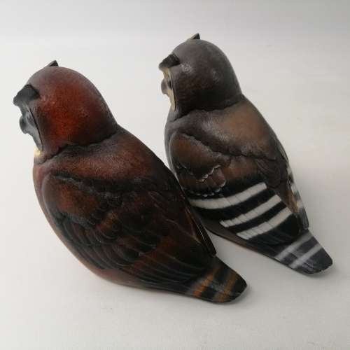 RARE!!! Numbered Feathers Of Knysna Cape Eagle Owl Male and Female!!! 1737/5000