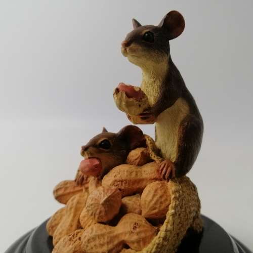 RARE!!! Numbered Feathers Of Knysna Peanut Mice!!! 1710/5000