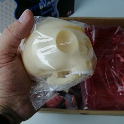 Super Cool!!! Large Transparent Gummi Bear Anatomy Model - Complete, Never Built!!! RED