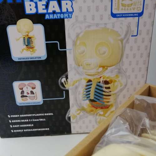 Super Cool!!! Large Transparent Gummi Bear Anatomy Model - Complete, Never Built!!! RED
