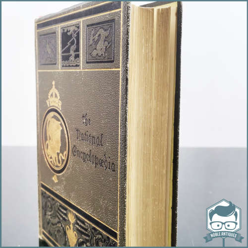 1880 Volume XII The National Encyclopedia - Many Engravings and Maps -  Large Foiled Hardcover !!!