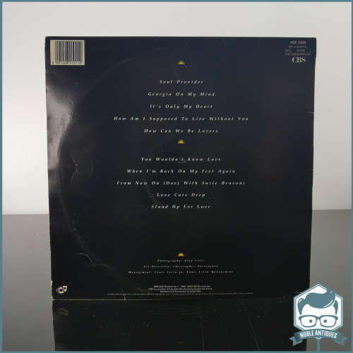 Michael Bolton Soul Provider LP Record VG!!!