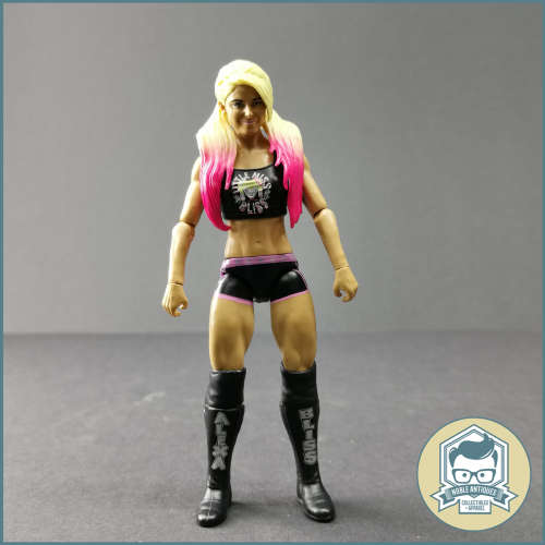 2017 WWE Alexa Bliss Articulated Action Figure!!!