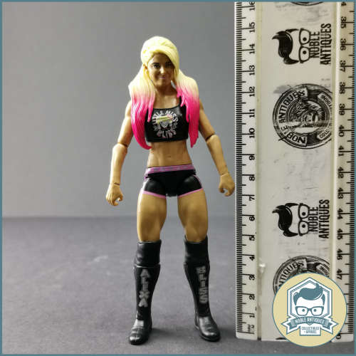 2017 WWE Alexa Bliss Articulated Action Figure!!!