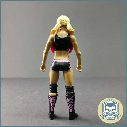 2017 WWE Alexa Bliss Articulated Action Figure!!!