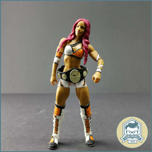 2011 WWE Elite Sasha Banks Articulated Action Figure!!!
