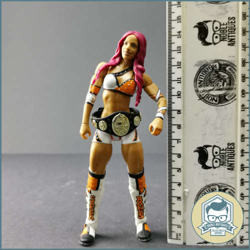 2011 WWE Elite Sasha Banks Articulated Action Figure!!!