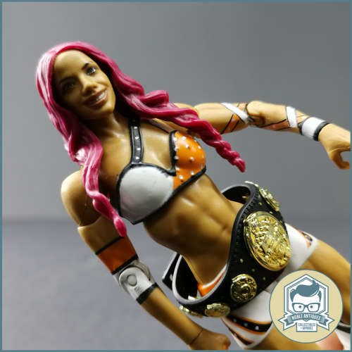 2011 WWE Elite Sasha Banks Articulated Action Figure!!!