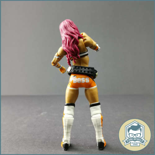 2011 WWE Elite Sasha Banks Articulated Action Figure!!!