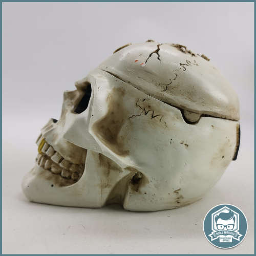 Large Bone Color Cast Skull Ashtray - 190mm!!!