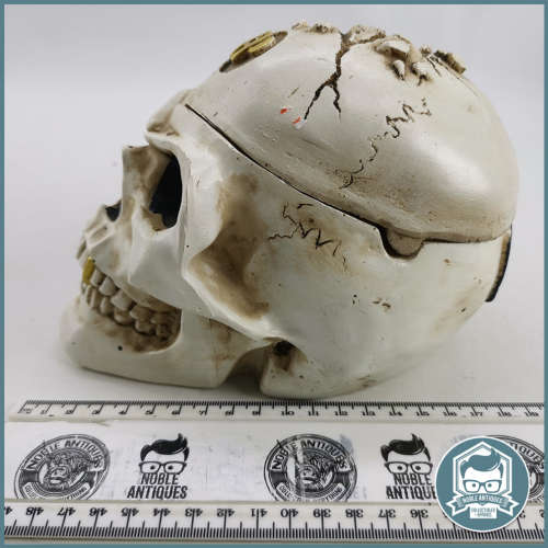 Large Bone Color Cast Skull Ashtray - 190mm!!!