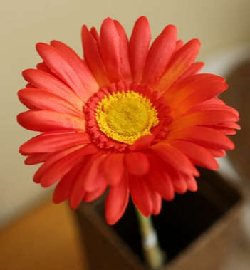 Quality silk flower.7 colors Cosmos.55cm length.1 flower/branch.