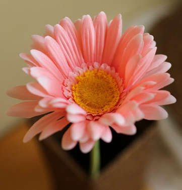 Quality silk flower.7 colors Cosmos.55cm length.1 flower/branch.