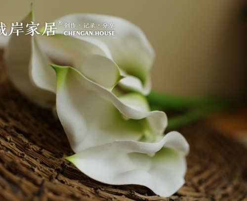 Quality PU silk flower.White Common calla.72cm length.1 flower/branch.